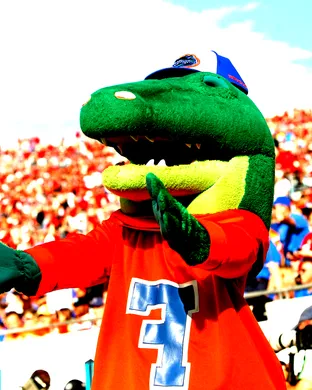 Florida Gators Football Gainesville