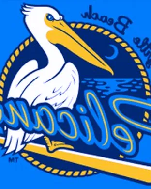 Myrtle Beach Pelicans Columbia