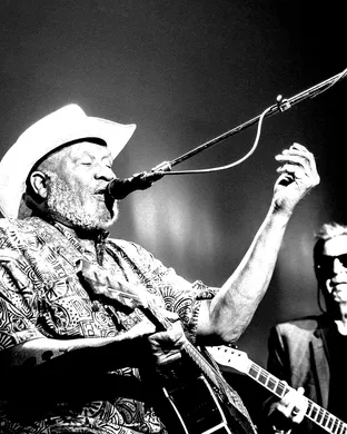 Taj Mahal Lagrange