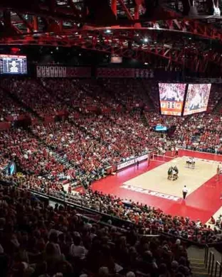 Texas A&M Aggies Women's Volleyball College Station